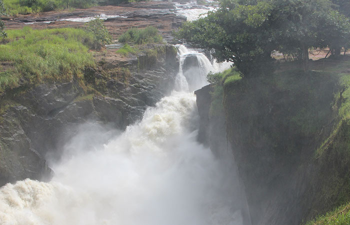 Murchison falls National-Park